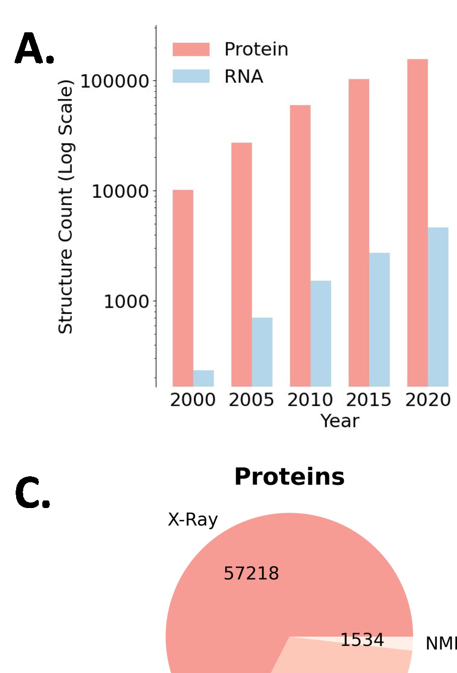 RNA drug design